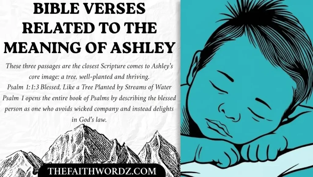 Bible Verses Related to the Meaning of Ashley