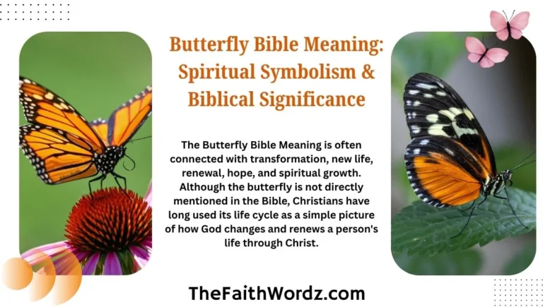 Butterfly Bible Meaning: Spiritual Symbolism & Biblical Significance