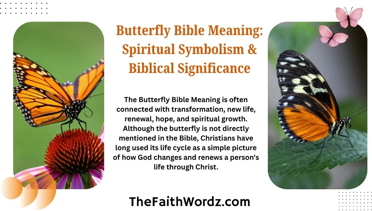 Butterfly Bible Meaning: Spiritual Symbolism & Biblical Significance
