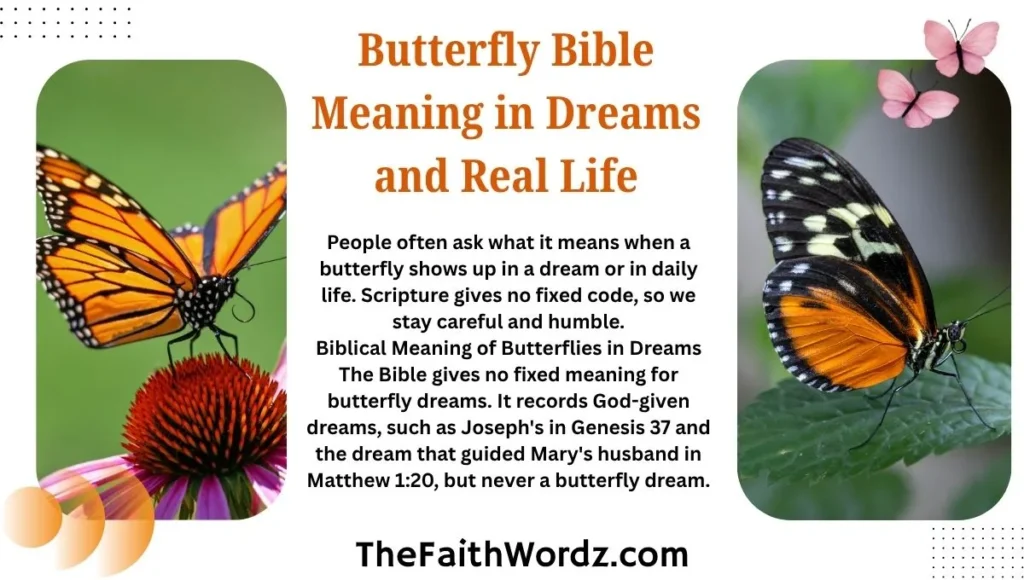 Butterfly Bible Meaning in Dreams and Real Life