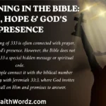 333 Meaning in the Bible: Faith, Hope & God's Presence