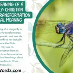 Biblical Meaning of a Dragonfly: Christian Symbolism, Transformation & Spiritual Meaning