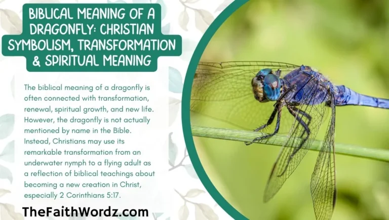 Biblical Meaning of a Dragonfly: Christian Symbolism, Transformation & Spiritual Meaning