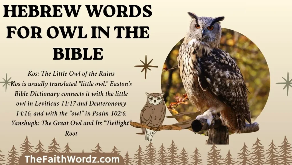 Hebrew Words for Owl in the Bible